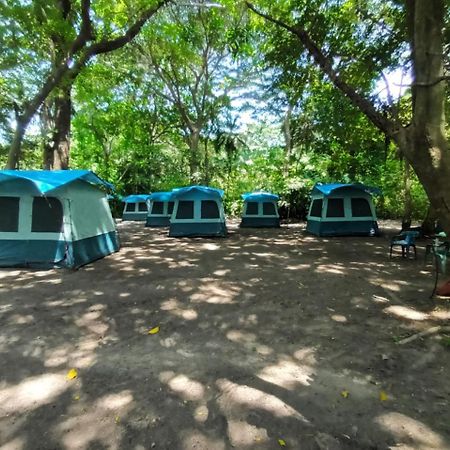 Happy Camping Arrecifes Dentro Del Parque Nacional Natural Tayrona El Coquito Exteriér fotografie