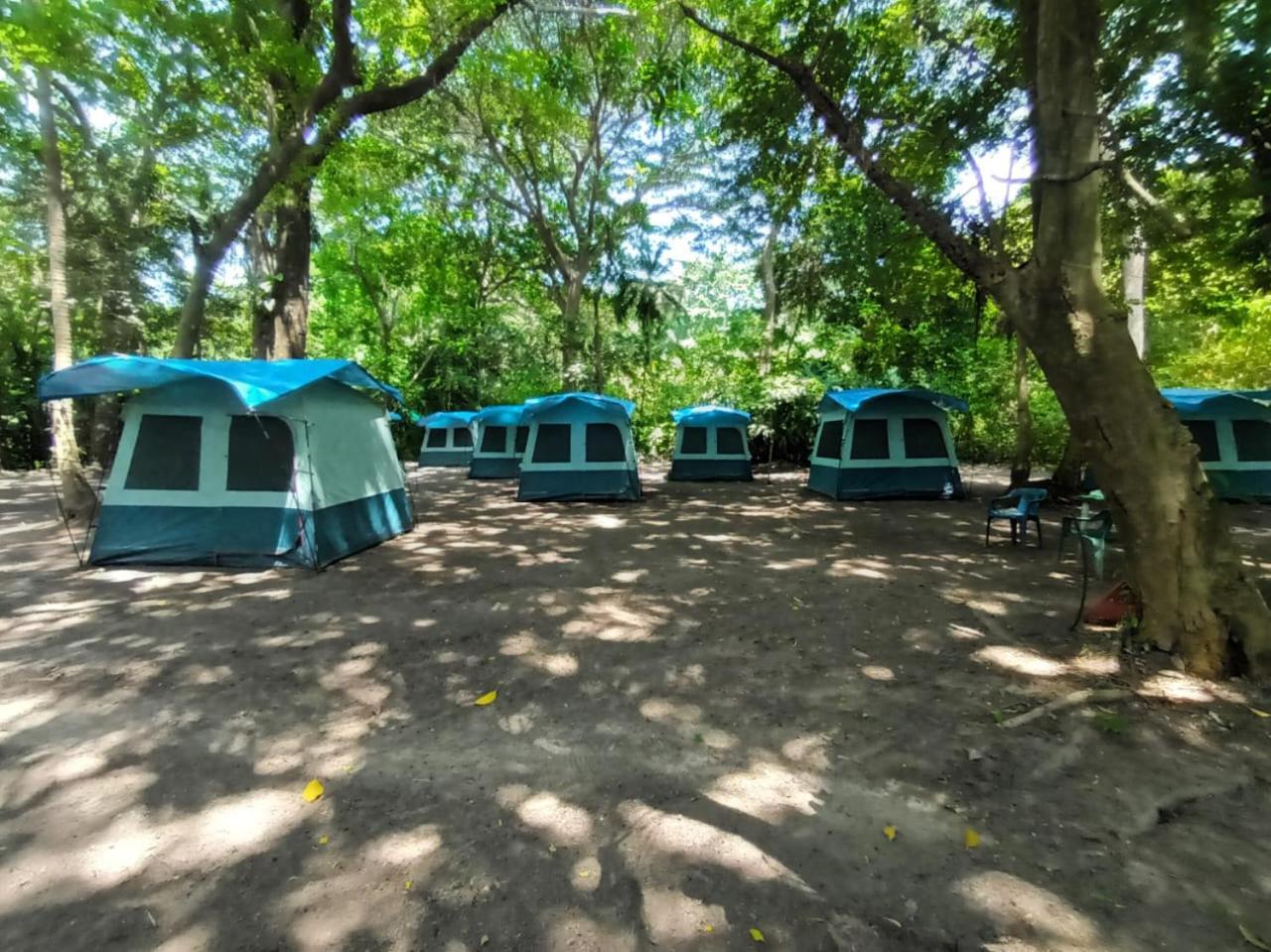 Happy Camping Arrecifes Dentro Del Parque Nacional Natural Tayrona El Coquito Exteriér fotografie