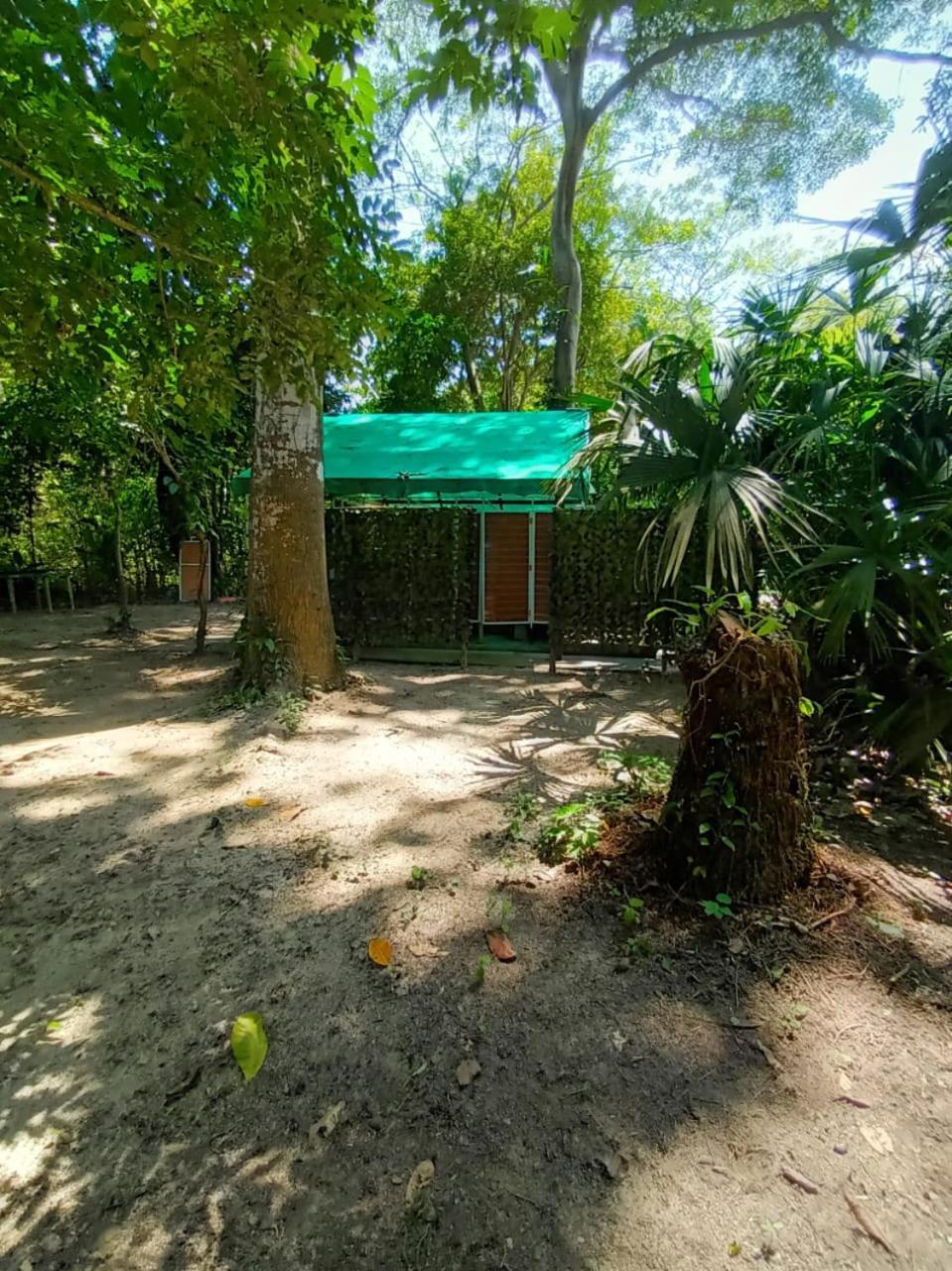 Happy Camping Arrecifes Dentro Del Parque Nacional Natural Tayrona El Coquito Exteriér fotografie